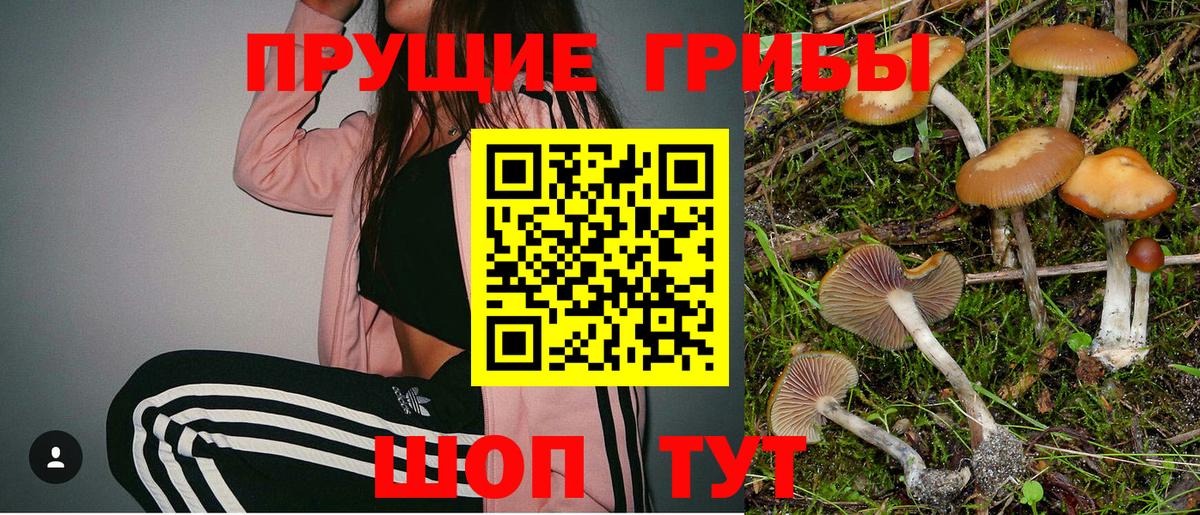 Вольск  Галлюциногенные грибы прущие грибы  Псилоцибиновые грибы мухоморы  Вход с VPN 