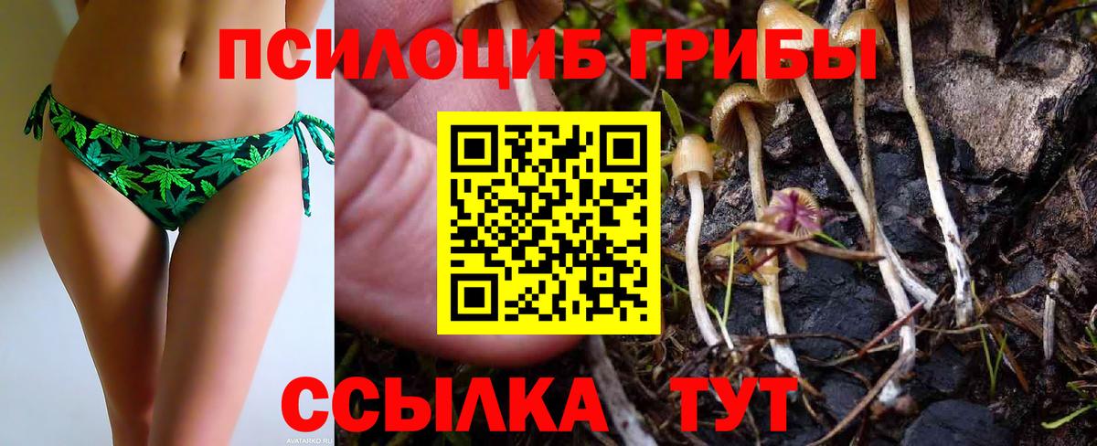 Галлюциногенные грибы ЛСД Вольск